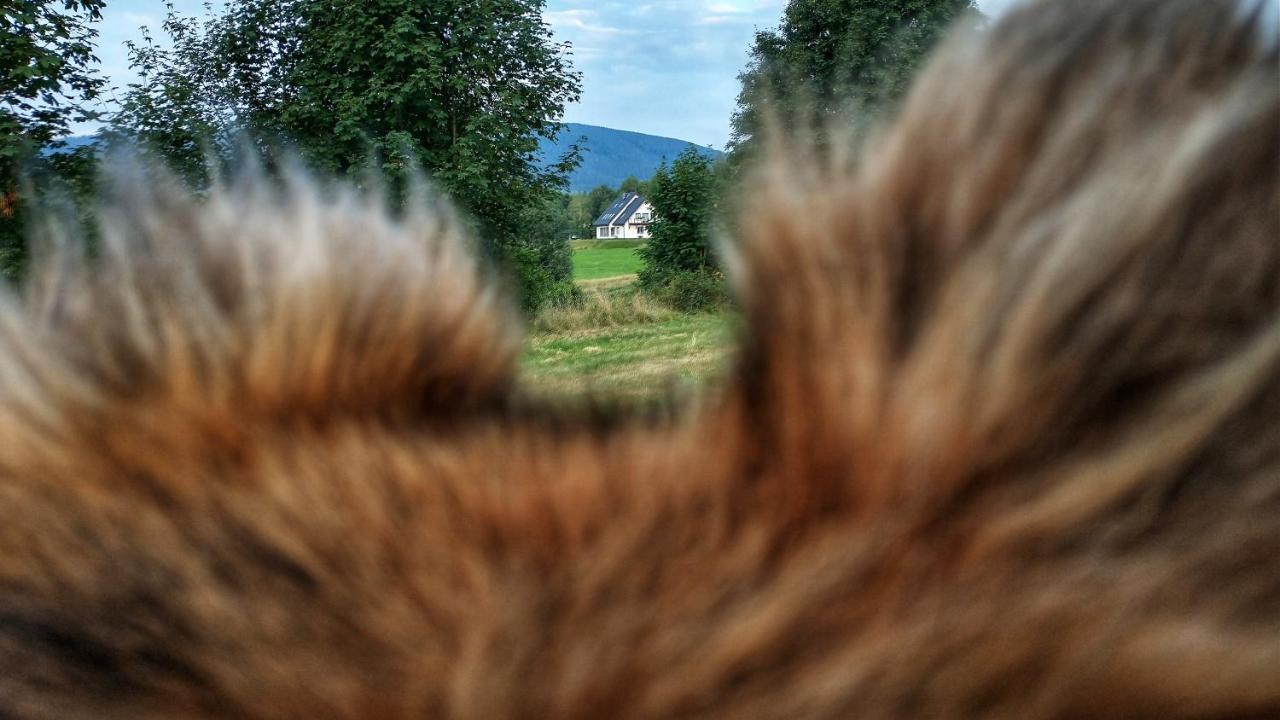 Rezydencja Ostoja Stronie Śląskie Buitenkant foto