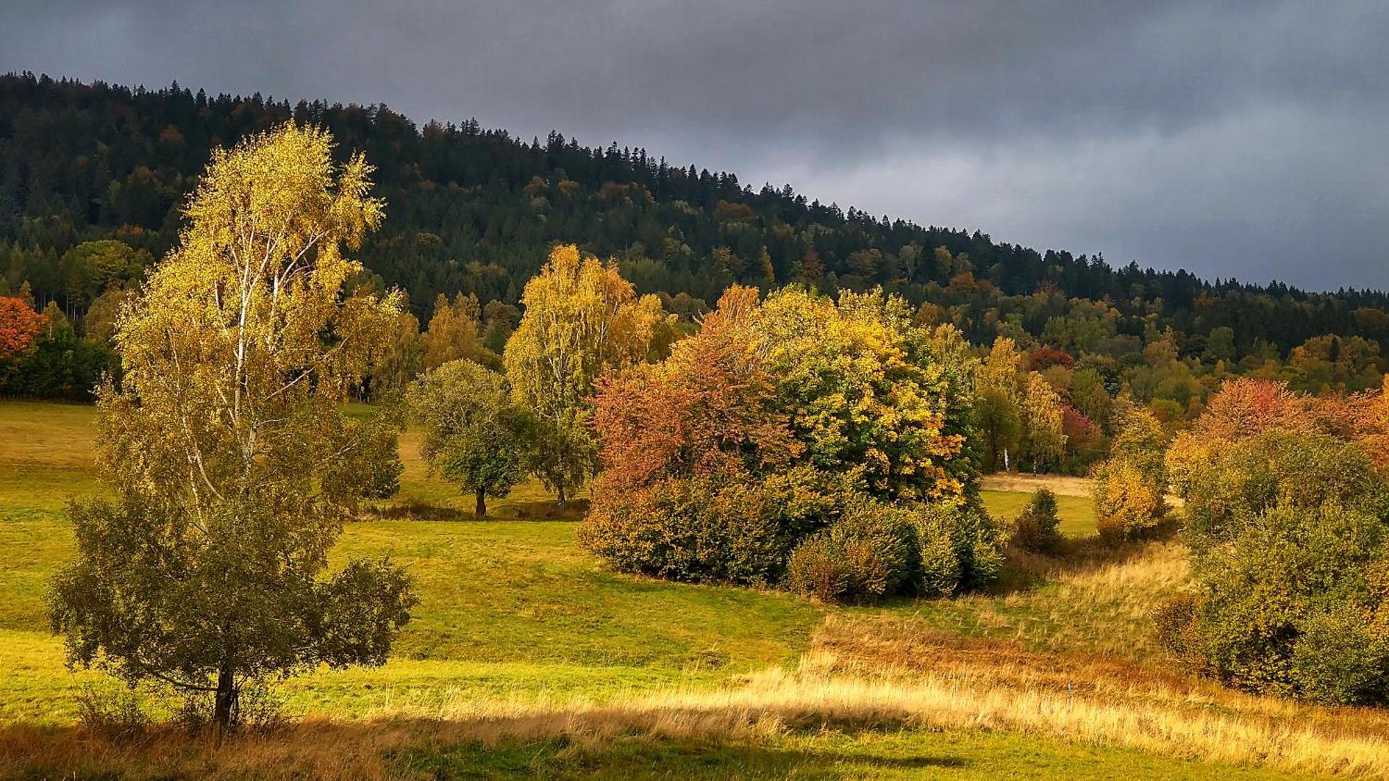 Rezydencja Ostoja Stronie Śląskie Buitenkant foto