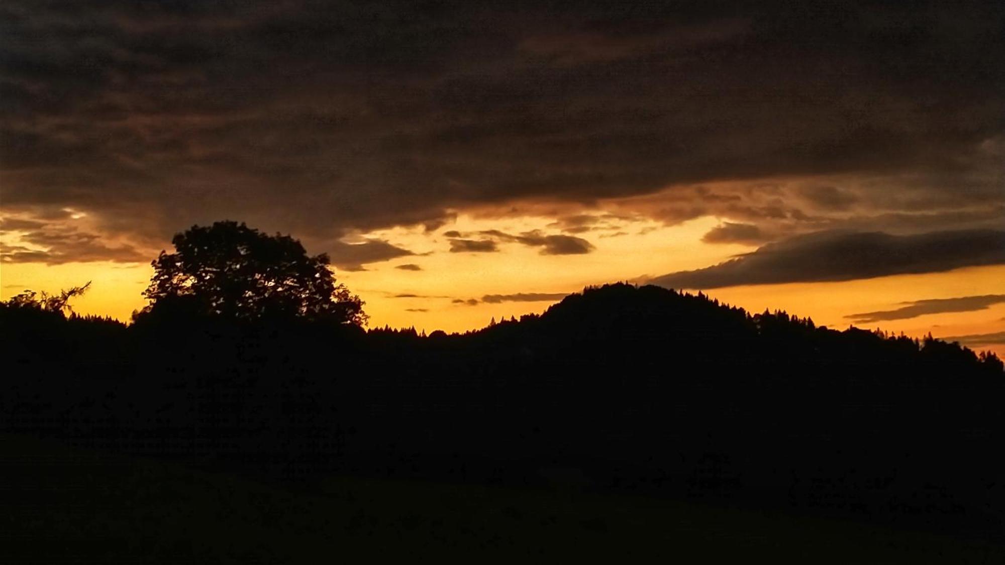 Rezydencja Ostoja Stronie Śląskie Buitenkant foto