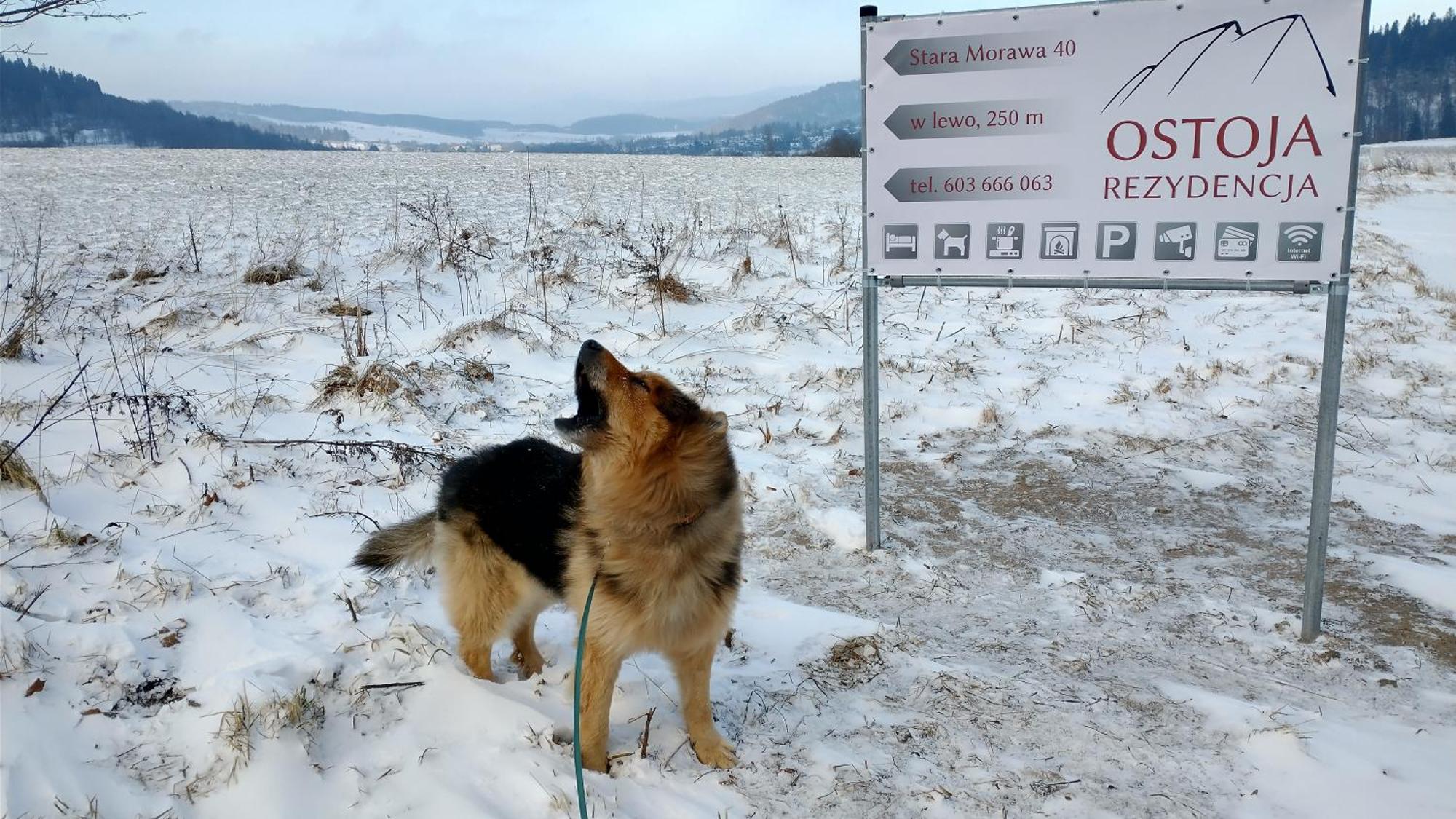Rezydencja Ostoja Stronie Śląskie Buitenkant foto